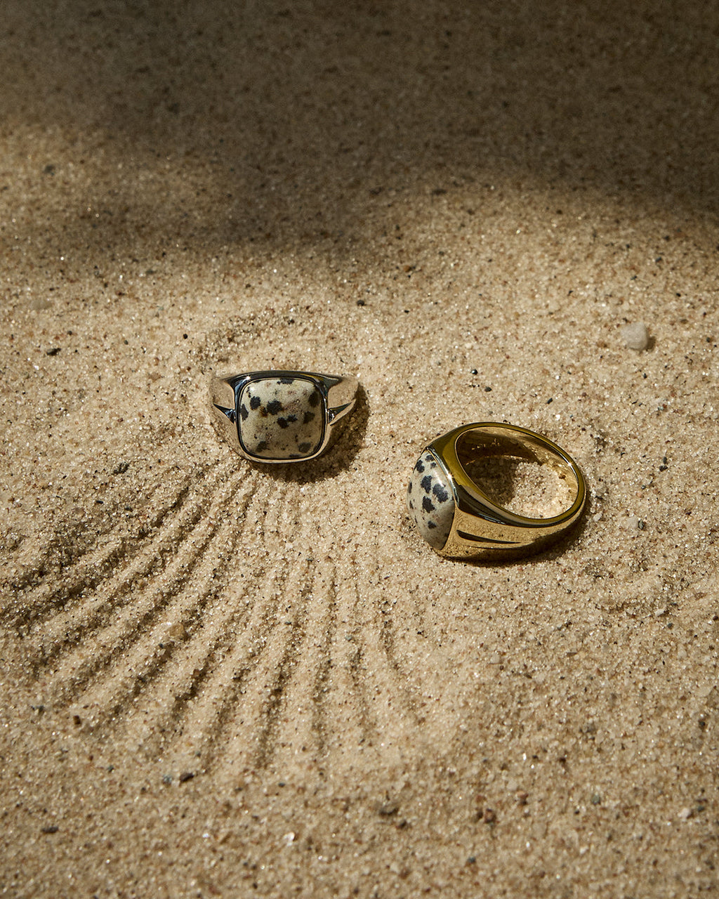The Palma Signet Ring- Silver