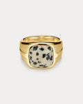 The Palma Signet Ring- Gold